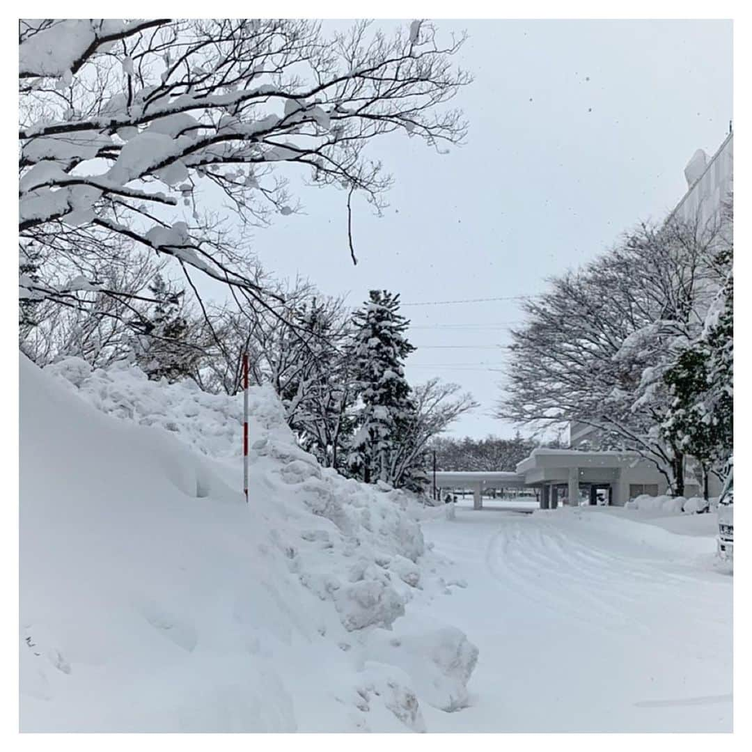 さだまさしさんのインスタグラム写真 - (さだまさしInstagram)「上越文化会館 現在の雪の状況❄️☃️❄️ みなさまどうぞお気を付けて、お越し下さいね⚠️ . #上越文化会館 #さだまさし #sadamasashi #雪」2月18日 12時06分 - sada_masashi