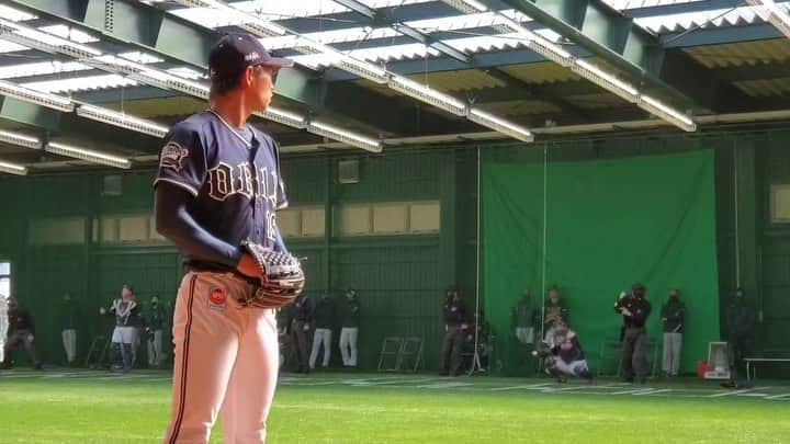 オリックス・バファローズのインスタグラム