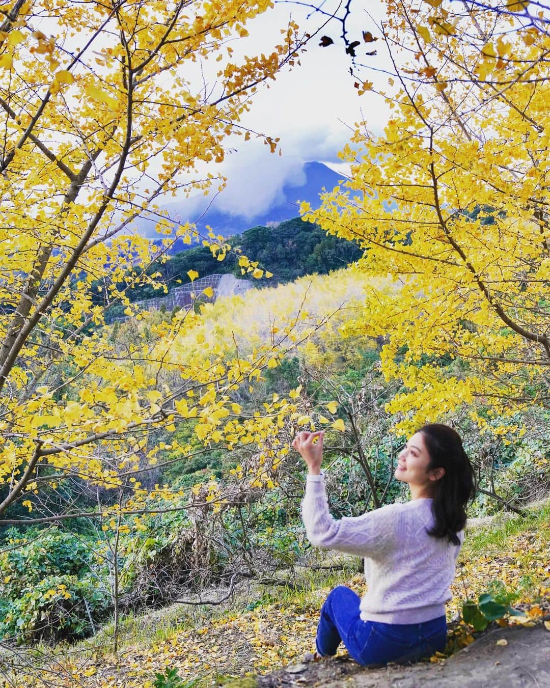 小林希さんのインスタグラム写真 - (小林希Instagram)「鹿児島県の錦江湾に接する4市、﻿ （姶良市、鹿児島市、垂水市、霧島市）を﻿ぐるりと取材旅したときの写真を載せていこうと思います！﻿ （取材は昨年、緊急事態宣言前です🙏）﻿ ﻿ —// 錦江湾の桜島が間近に見える垂水（たるみず）市。 今は季節外れですが、街中から車ですぐの 山間には、千本イチョウ並木があり とっても素敵な黄色い世界が広がります✨ とあるご夫婦が何十年とかけて、イチョウを 植えていったんですって... あなや、愛とは美しや。  秋から初冬には、ぜひ訪れてみてください✨  —// ﻿ 鹿児島錦江湾情報は、このサイトが参考になりますよ⭐️﻿ ↓↓↓﻿ 「BLUE　TOURISM　KAGOSHIMA」 https://www.blue-tourism-kagoshima.com/﻿  #鹿児島 #姶良市 #鹿児島市 #垂水市 #霧島市  #錦江湾 #kagoshima  #桜島 #イチョウ並木  #千本イチョウ」2月18日 12時34分 - nozokoneko