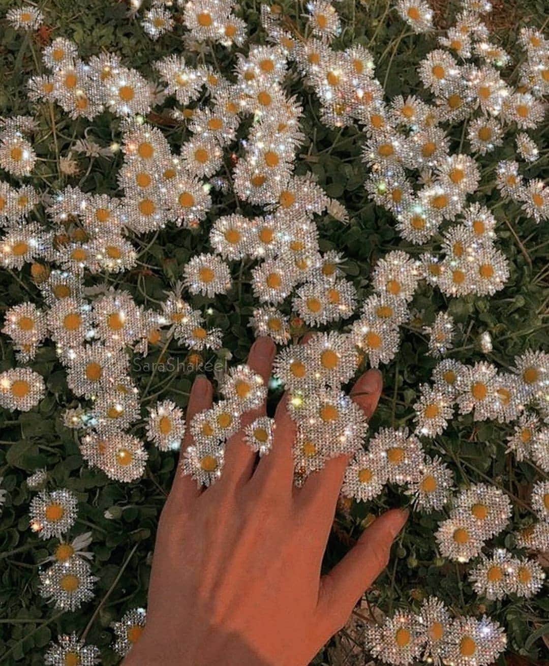 SHEINのインスタグラム：「Dreaming 🌼☁ @sarashakeel @camellia.dreamer #SHEINinspo」