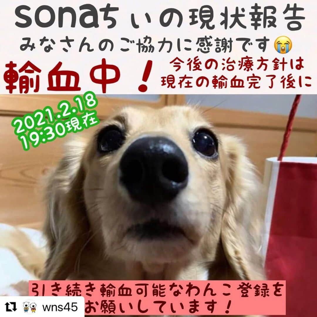 Sora Momoのインスタグラム