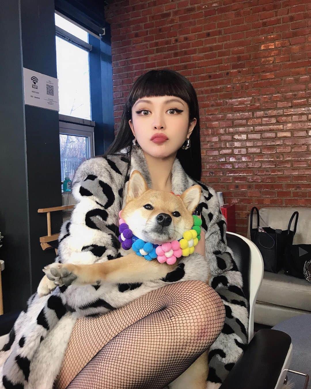 Grace Chowのインスタグラム：「可愛的小柴💗」