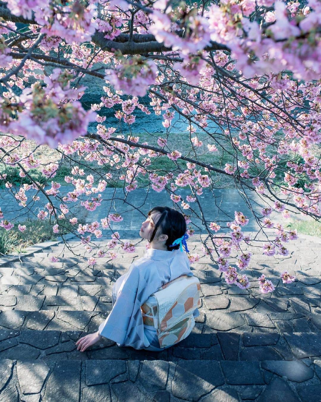 shabonのインスタグラム