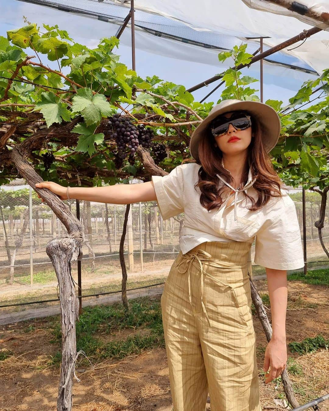 Araya Alberta Hargateさんのインスタグラム写真 - (Araya Alberta HargateInstagram)「👩‍🌾🍇🍇🍇🍇」2月18日 22時40分 - chomismaterialgirl