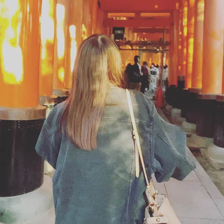 ワタルのインスタグラム：「この前の京都の動画🥷 伏見稲荷ほんと綺麗だったなぁ… また行きたい」