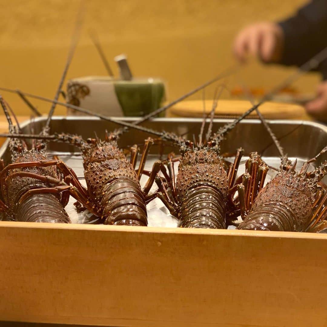 東京外食女さんのインスタグラム写真 - (東京外食女Instagram)「#銀座 #鮨さえ㐂  . . 今夜はさえ㐂さんで貸切会！ . 姫ちゃまと呼んでいただける 楽しいお店さんです✨ . . こちらも大阪のお友達に ご紹介されて以来、 大切に通わせていただいている お店さんのひとつです！ . . . やはり何度見ても立派で 美しい聚楽壁。 . それだけで気分が上がって 席に着く前から 日本酒を欲します！ . . 汚い店や小さな店でも もてなせるというのも たしかにわかりますが、 意味あって高級な空間は 非常に居心地がよいです。 . . . この日はのれそれからスタート。 . のれそれ本来の透き通るような 美味しさがあるからと、 ポン酢では出さずにお出汁で。 . 今まで食べたのれそれの中で 一番記憶に残ったおいしさです。 . . 美味しすぎる！とみんなで お出汁も一気飲み。 . のれそれで会場が湧くことって なかなか無いですよね？！ . . みんな一気にテンションが上がったところで、 イキのいい大きな伊勢海老。 . そして生のばちこに大きな白子！ . . パフォーマンスも素晴らしいです！ . 香ばしく焼けたアオヤギ。 . 「春の香りですなあ〜。」 . と大将。 へえー、アオヤギっていつでも ある気がしたけど春が旬なのか！ と勉強するわたし。 . . これもまた最後に香る柚子が 日本酒にとんでもなく合います！ . 「あたしこれ100本食べれる！」 . . といつもいくつ食べられるかで 美味しさを表現してくれる コメンテーターが声を上げます。 . . フグの皮にバターとキャビア。 これはとんでもなく意外な組み合わせ。 . 春のお馴染み、若竹煮も さえ㐂さん流です。 . ばちこかじって、鳴門わかめに 若竹、かつおぶし。 . . 味を合わせるというより 香りを合わせる。 . 妥当、鼻セレブで ふんわり削りたてのかつおぶし！笑 . . 白子のリゾットも 珍しいと感じなくなってきましたが これはかなり美味！ . 白子と酢飯って本当に合う。 . . すっかり忘れていた伊勢海老も 目の前の大きなまな板の上で ザクザク捌かれてます！ . . 海老味噌と身が碗で出てきて、 味変しながら食べる楽しい ひとメニューに！ . . 一番最初に載せておきましたが、 書くのが最後に…。 . . この日の前半つまみで 本当に頭がおかしくなるくらい 戸惑った美味しい一皿は 越前蟹の蟹味噌ムースでした。 . . シンプルに蒸しただけの 蟹身は甘くてふわふわで…。 . 本当に蒸しただけ？！ . 疑い深くなるほど美味い。 . . 蟹ムースにつけて食べても くらくらくる美味さ。 . やまなめの酸っぱい味付けが、 蟹酢のようなアクセントになり ムースのこってりと 酢のさっぱりで食べ飽きません！ . . . 「なに、これ、どうしたらいいの？」 と声に出して戸惑い続けた夜。 . . まだ終わってません。 ここから鮨です！ . . #さえ㐂 #東京鮨 #sushi #japanesefood  #japaneseculture  #japantravel  #銀座グルメ #銀座鮨 #東京外食女 #いい店員さんがいるお店」2月18日 22時57分 - himeno_0729