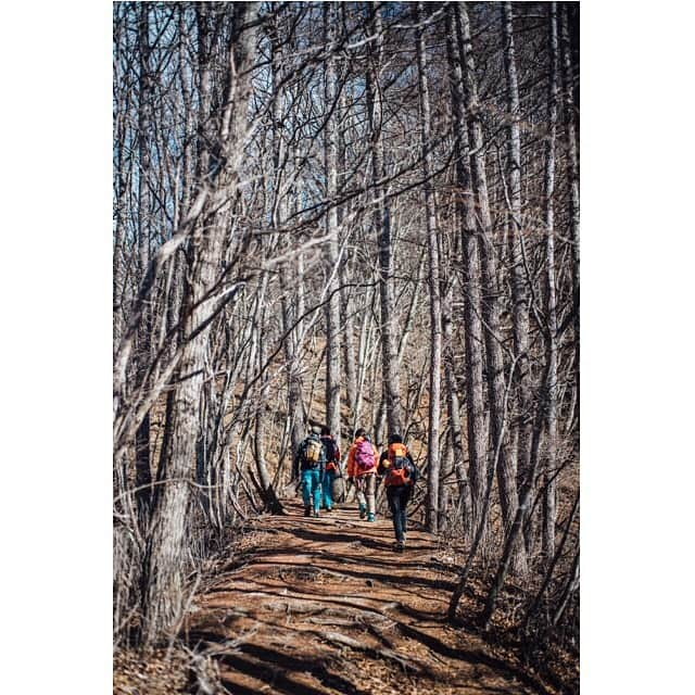 東出真緒さんのインスタグラム写真 - (東出真緒Instagram)「@orangebackpackers  大菩薩嶺🏔 アイゼンをつけて冬山チャレンジ！ 太陽に見守られ無事登頂🌞 6時間のロングランだったけど 心と身体と浄化されたーー🤍 . 皆様ありがとうございました！ . photo by @nishimakitaichi @sudatch」2月18日 22時59分 - mao_bigmama_vn