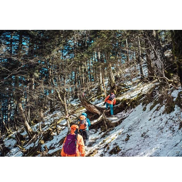 東出真緒さんのインスタグラム写真 - (東出真緒Instagram)「@orangebackpackers  大菩薩嶺🏔 アイゼンをつけて冬山チャレンジ！ 太陽に見守られ無事登頂🌞 6時間のロングランだったけど 心と身体と浄化されたーー🤍 . 皆様ありがとうございました！ . photo by @nishimakitaichi @sudatch」2月18日 22時59分 - mao_bigmama_vn