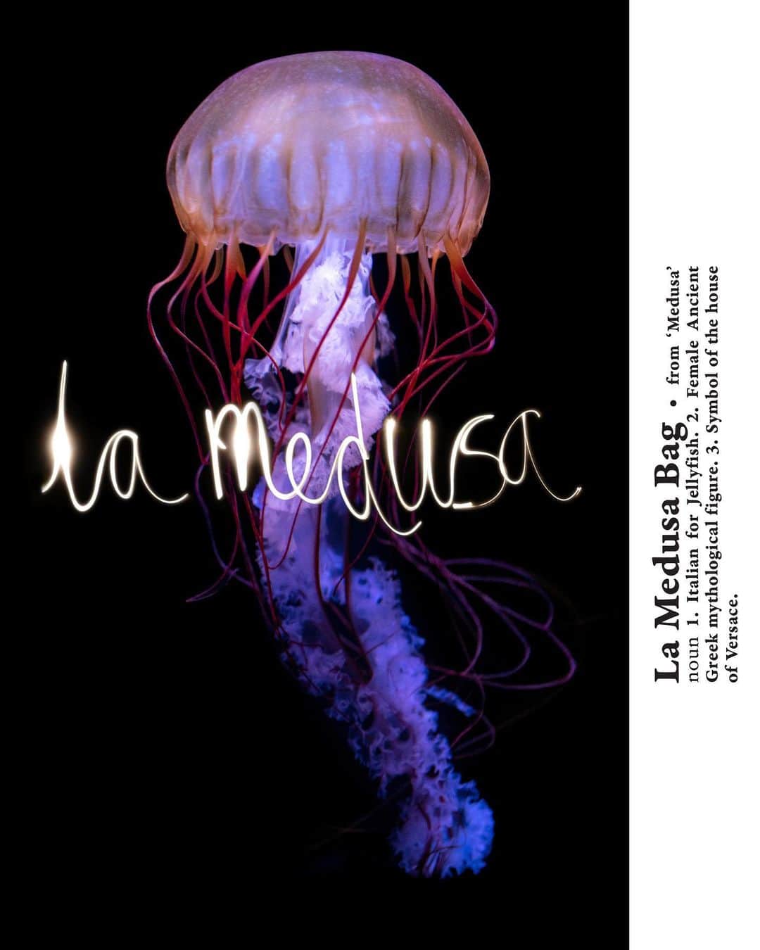 ジャンニヴェルサーチさんのインスタグラム写真 - (ジャンニヴェルサーチInstagram)「New species discovered - #VersaceSS21 unveils the new La Medusa bag. Medusa, which is also the Italian word for jellyfish, is the symbol of Versace and the brand’s ultimate muse.   Meet the new #VersaceLaMedusa bag at the link in bio.」2月18日 22時59分 - versace
