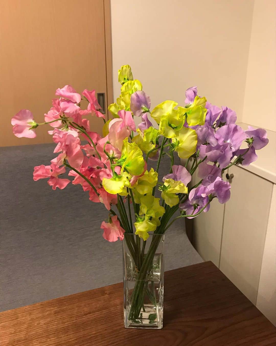 丸田佳奈のインスタグラム：「おうち時間が増えて、よく買うようになったもの。 お花💐  スイートピー、 たくさんの色があってすごく迷いました。  #花 #生花 #花束 #ブーケ #お花のある暮らし  #お花のある生活」