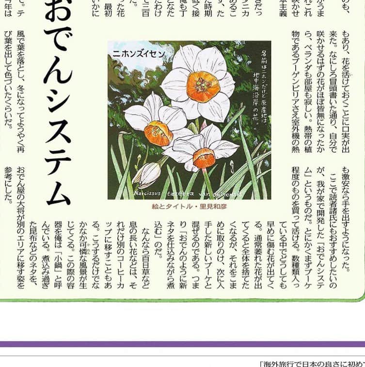 いとうせいこうのインスタグラム：「今日の東京新聞夕刊連載『日々是植物』は「おでんシステム」。安い切り花で楽しむ！　全部読むべし。」