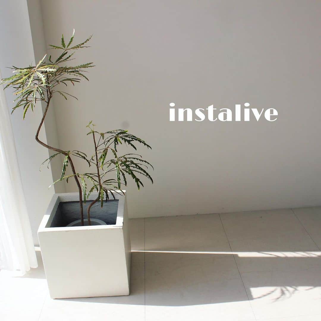 Mode Robeのグルメインスタ