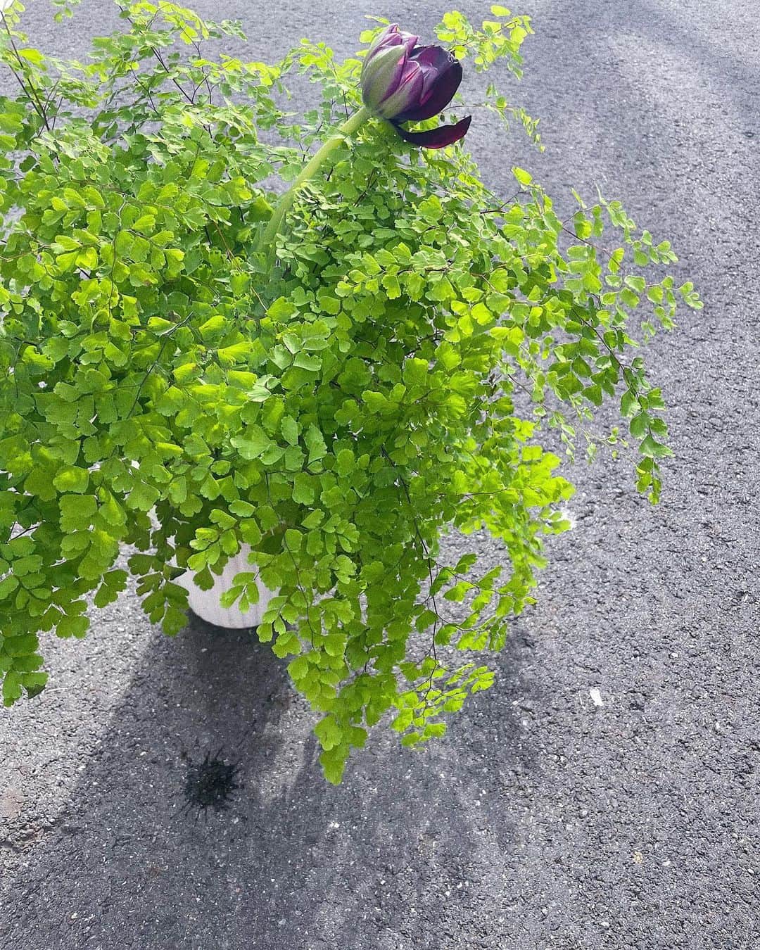 芽朗のインスタグラム