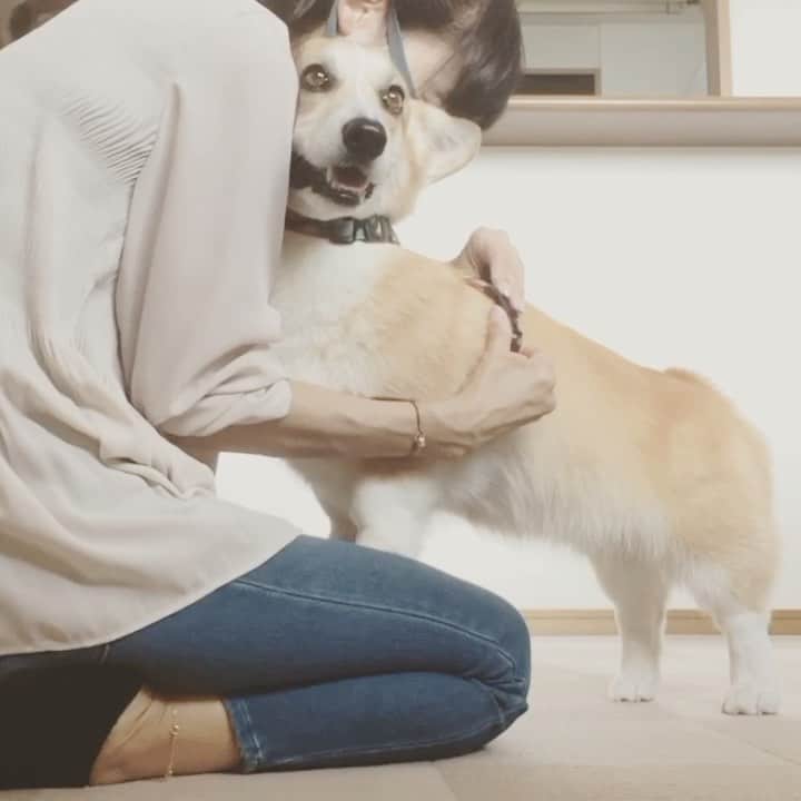 さゆりのインスタグラム：「◡̈⋆2021.1.18.Thu.◡̈⋆ Its time for walkies! 😆❤️ * お散歩行くよ～😅😂✌️ * * * * * * * *」