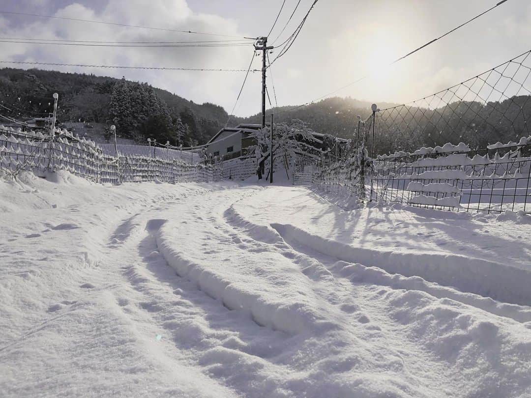久保田夏菜さんのインスタグラム写真 - (久保田夏菜Instagram)「どっひゃーん。  雪をかきわけ広島へ。  でも 国道まで出ると 除雪されてるから安心。  #安芸高田市　#田舎暮らし　#雪」2月18日 15時44分 - kanakubota0805