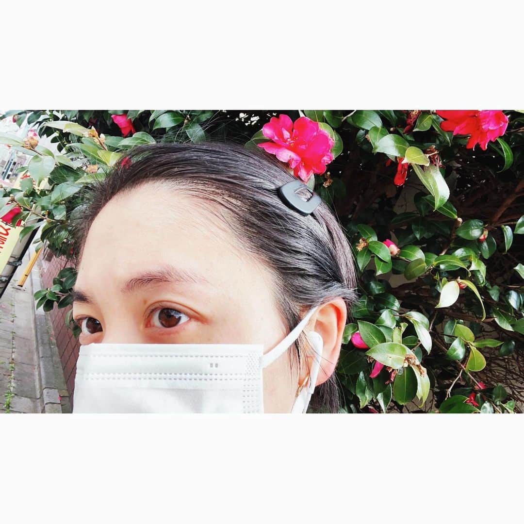 藤井武美さんのインスタグラム写真 - (藤井武美Instagram)「髪短いのはいいけど、 最近はこの やや大きめパッチンピンに 助けられてます はよはよ〜🏃‍♀️」2月18日 15時59分 - takemi_fujii