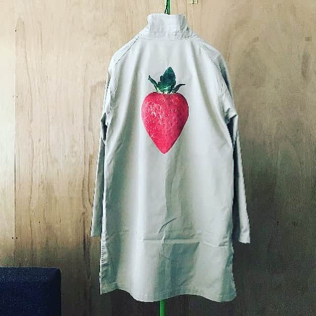 松田岳二さんのインスタグラム写真 - (松田岳二Instagram)「🍓とても美味しい🍓  #柳田いちご農園」2月18日 16時28分 - cbsmgrfc