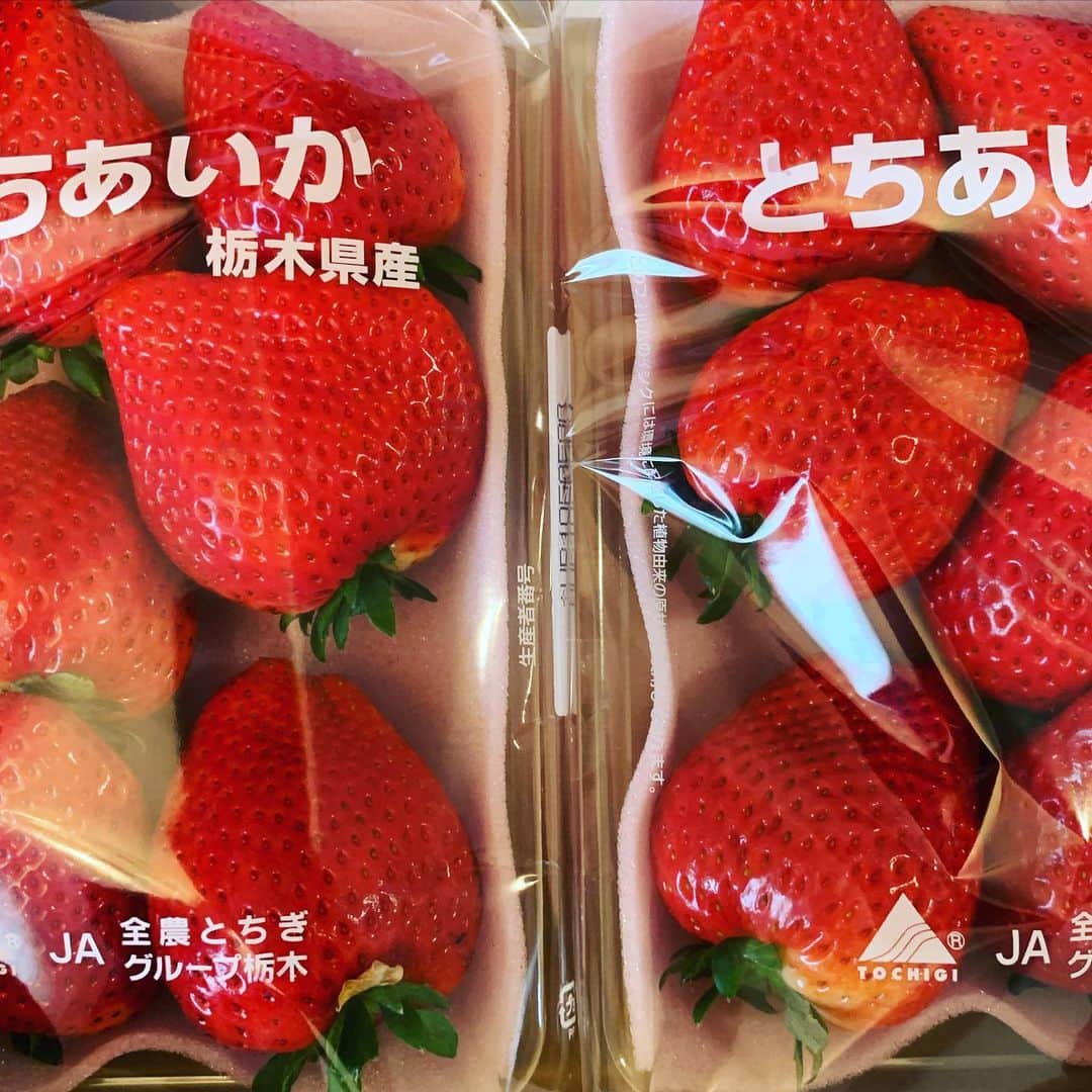 松田岳二のインスタグラム：「🍓とても美味しい🍓  #柳田いちご農園」
