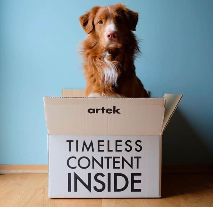 Artekさんのインスタグラム写真 - (ArtekInstagram)「Artek products are made to last functionally and aesthetically, offering longevity over generations. ⁠ And why not reuse the package too? Thank you @krolalfen for capturing your best friend‘s new room.⁠ #Artek #consciousconsumption」2月18日 17時15分 - artekglobal