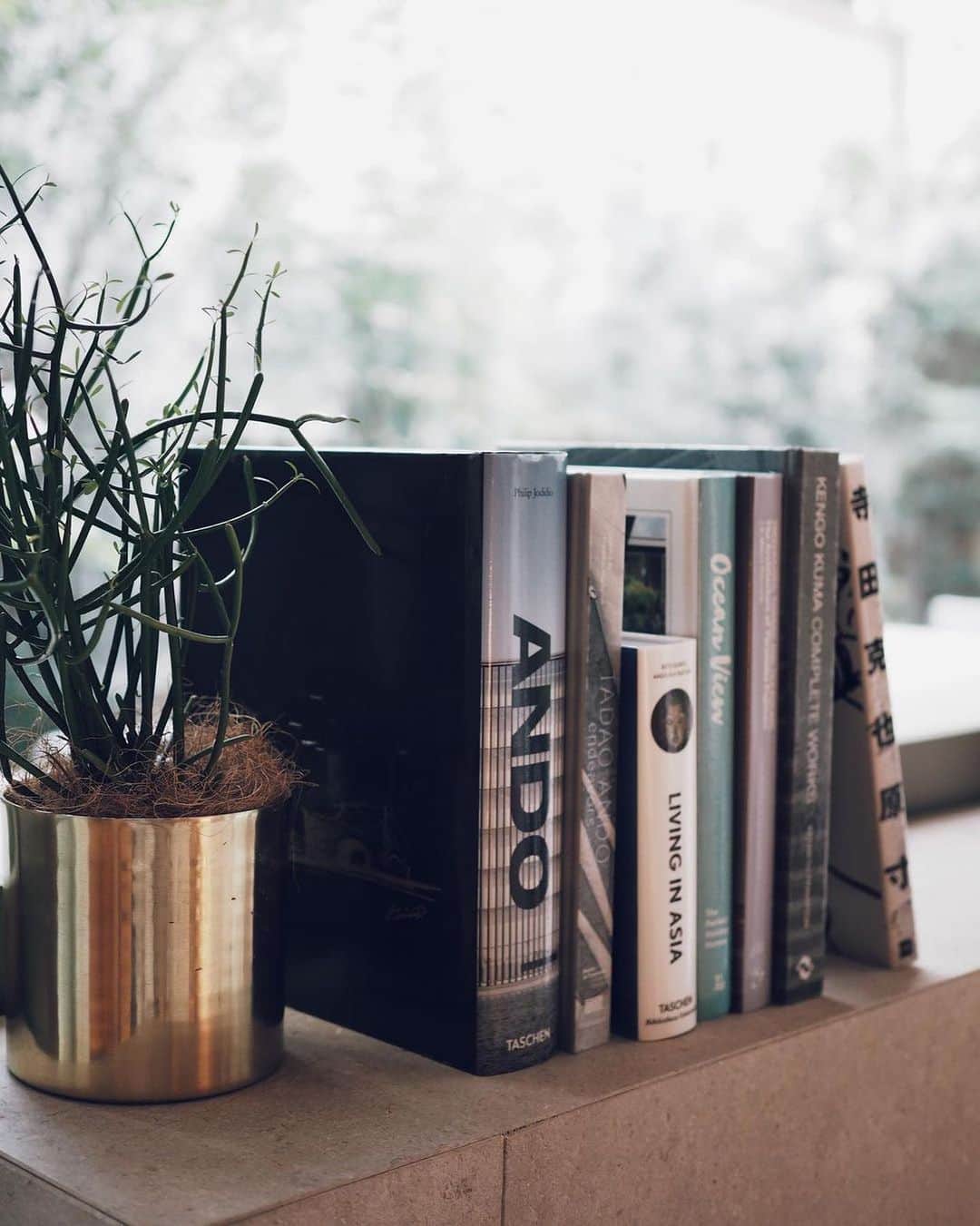 OLYMPUS_PEN_LOVERのインスタグラム：「@mis_0717さんの写真をご紹介◎  みなさん読書📕は好きですか？ お気に入りの本を並べておくだけでHappyになっちゃう🥺💕  >>> OLYMPUS PEN で撮影し「#penのある生活 」をつけて投稿いただいた皆様のお写真をご紹介いたします！ ﻿ ----------------------------------------------------﻿ 📷photo by @mis_0717  https://www.instagram.com/p/CJjLUq5LLnn/?utm_source=ig_web_copy_link ----------------------------------------------------﻿ ﻿  #ミラーレス一眼 #カメラ #camera #写真好きと繋がりたい #olympuspen #オリンパスペン #olympus #オリンパス #penとおでかけ #penのある生活 #om_photo #om写真投稿 #おうち時間 #本 #読書好き女子 #本棚 #本好きな人と繋がりたい」