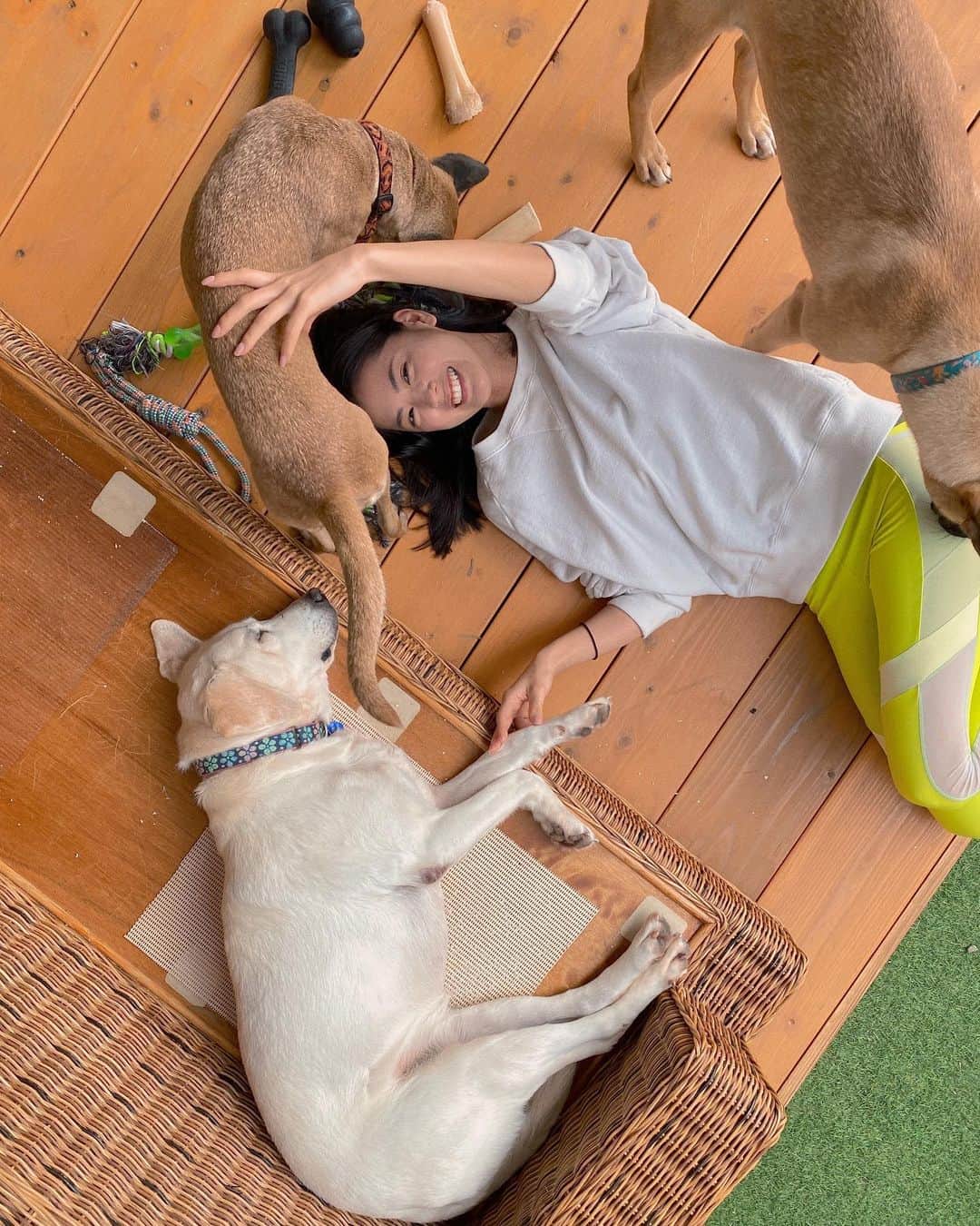 宮城夏鈴さんのインスタグラム写真 - (宮城夏鈴Instagram)「先週 @okinawahappytails  に初めてボランティアに行ってきました！  ハッピーテイルズで愛を受けて日向ぼっこする 笑顔で可愛いわんちゃんたち。  でもみんな、殺処分を免れて保護された子たちなんだよ。  それぞれが違うストーリーがあって 今に至るはずだけど、  共通しているのは 『人間の勝手な都合や理由で』と言うこと。  私の紹介でハッピーテイルズから 保護犬のトライアルをした方が  やっぱり家で育てるのは厳しい。 との理由で、わんちゃんを シェルターに返す事になったそう。  命と向き合う覚悟が できてなかったんだな。 と思いました。  わんちゃんの命も 人間の命も、同じ命。  なおさら保護犬は 人間に酷い扱いを受けていたかもしれない。 傷つかないはずはない。  ペットを 家族に迎えるということは 覚悟が必要だと思います。  私も将来自分の家庭をもった時 保護犬を迎え入れたいと言う思いがあります。  その時に巡り会う命と 一緒に豊かな人生を作れたらと夢に見ています。最高に幸せにしたいなと思っています。  それと同時に  人間の都合で 悲しい思いをするわんちゃんが 一匹でも多く愛情をうけて、 生まれてきてよかった、 毎日楽しいと笑えるように  今出来るアクションしたいなと思ったのが きっかけで、ハッピーテイルズにお邪魔させて頂きました。  同じ歳でこの活動を行い続ける @nayutautau ちゃんを 本当に尊敬します。  私の投稿を見て  保護犬を迎えたいな〜と興味が湧いてくれた方は よくよく考えて、覚悟を持った上でコンタクトを取る事をぜひ、お薦めします！  よろしくお願いします🥺🤲」2月18日 17時43分 - karin_karin0516