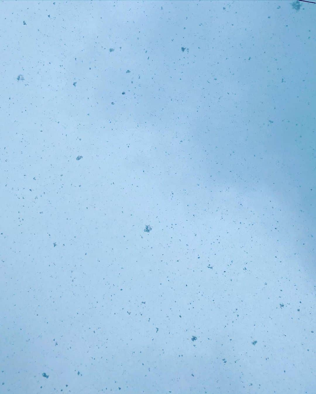 藍井柚來さんのインスタグラム写真 - (藍井柚來Instagram)「ゆーーーきーーーー⛄️💞 雪だー🌬❄️ 寒すぎて本当に震えるね🥶 体を温めましょーう😆✌🏻 今日はどて煮だってー😳❤️あったまるうーーーー❗️  #雪 #snow #ゆき #ゆーきー #寒い #cold #今日の夜ご飯 #どて煮だってさー #美味しそーう #はーと」2月18日 17時59分 - yurai.14