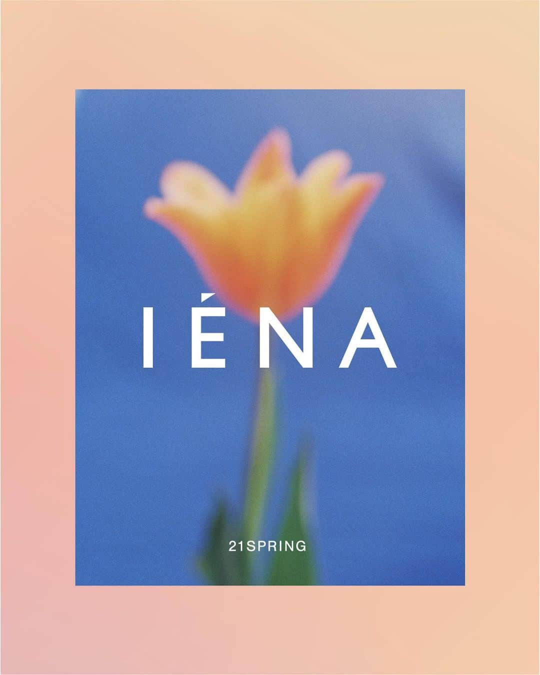 IENAのインスタグラム