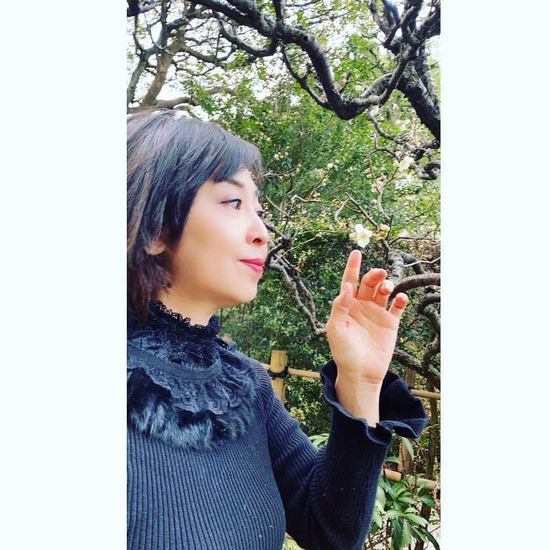 牛窪万里子さんのインスタグラム写真 - (牛窪万里子Instagram)「我が家の庭の梅が沢山花を咲かせました！  いい香りがふわっと仄かに漂っています  満開が楽しみです♪  #梅 #梅の花  #開花」2月18日 18時09分 - mariko_ushikubo