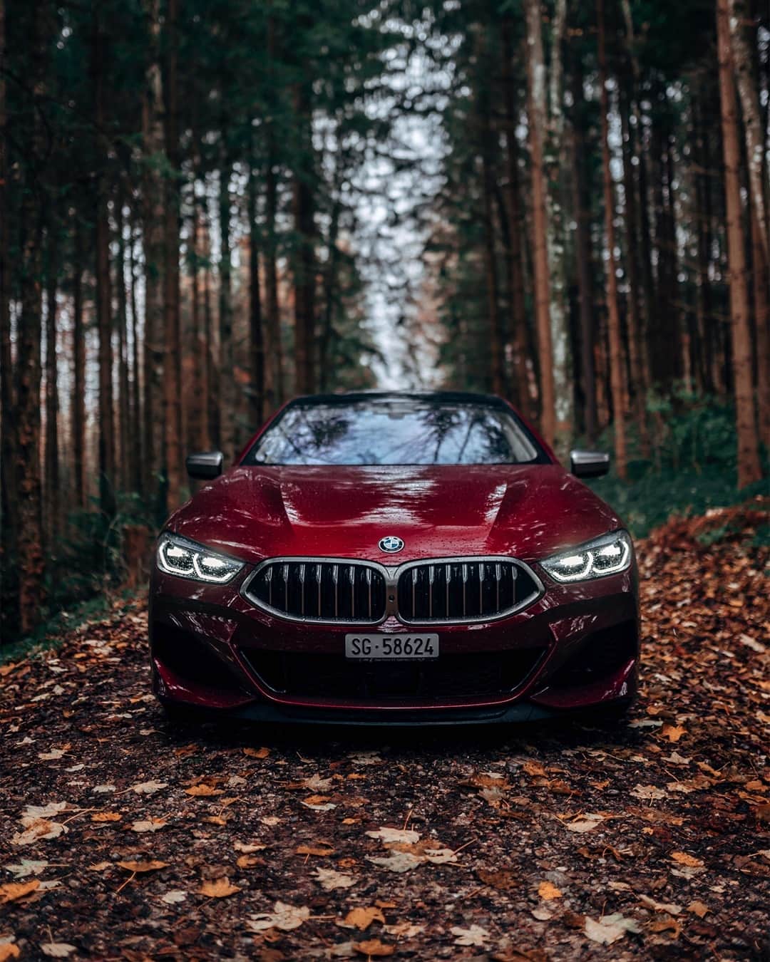 BMWのインスタグラム：「The sounds of the forest need no translation. The BMW 8 Series Gran Coupé.  #THE8 #BMW #8Series #BMWrepost @blekoshots @seppfaesslerag __ BMW M850i xDrive Gran Coupé: Fuel consumption weighted combined in l/100km: 10.2–10.1 (NEDC); 11.0–10.9 (WLTP), CO2 emissions weighted combined in g/km: 234–232 (NEDC); 252–248 (WLTP). Further information: www.bmw.com/disclaimer.   530 hp, 390 kW, 750 Nm, Acceleration (0-100 km/h): 3.9 s, Top speed (limited): 250 km/h.」