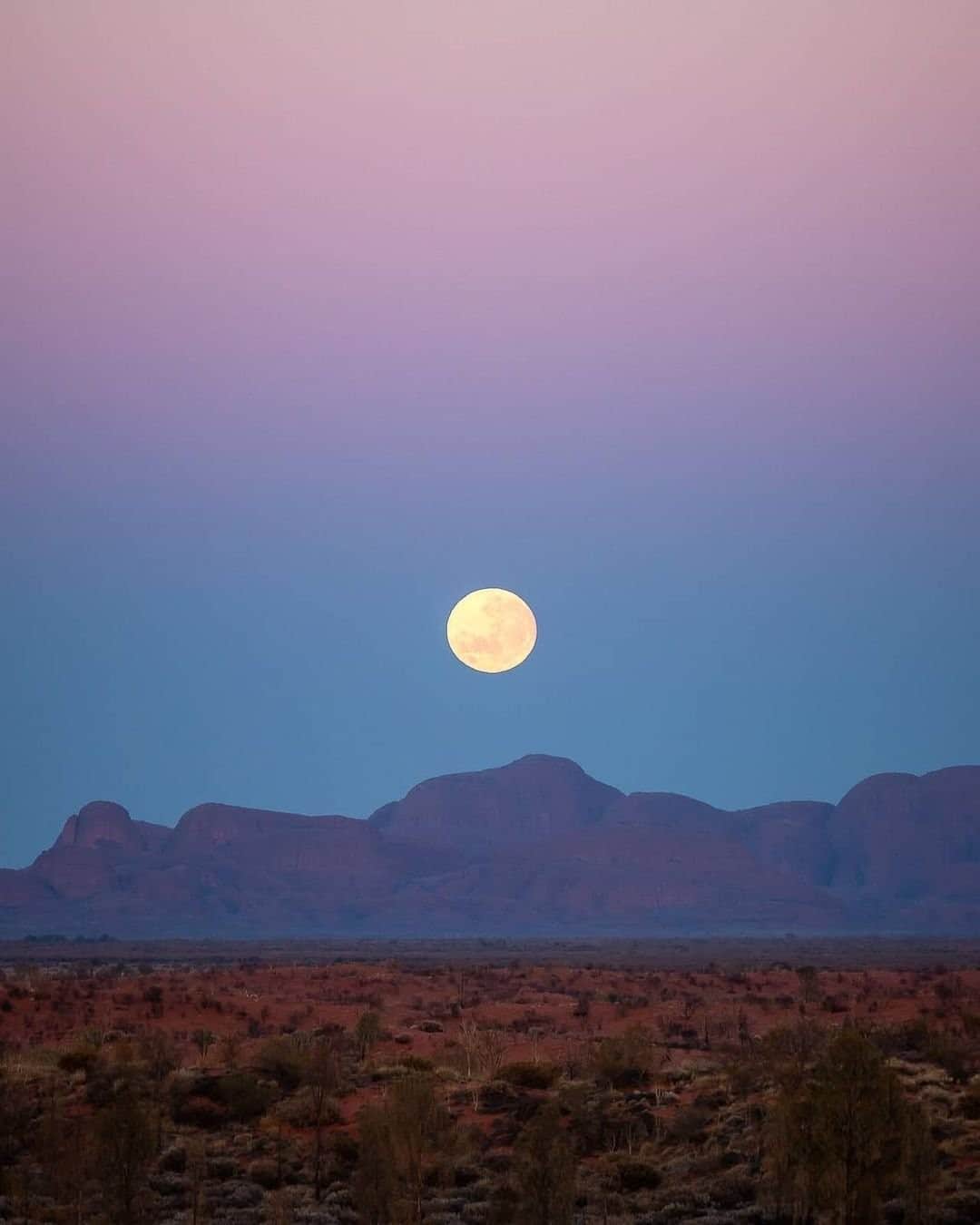 Australiaさんのインスタグラム写真 - (AustraliaInstagram)「There sure is something magical about a full moon over #KataTjuta 🌕 ✨ @caitensphoto witnessed this incredible scene in @ntaustralia’s Uluru-Kata Tjuta National Park. 'Kata Tjuta' is a Pitjantjatjara Aboriginal word meaning 'many heads' and this incredible place is sacred to the Anangu people, who have lived in the area for more than 22,000 years. If planning a trip to this part of the #RedCentreNT, be sure to stop by the #UluruKataTjutaCulturalCentre to learn about the Anangu connection with this special part of #Australia. Head to the link in our bio for more info! #seeaustralia #ntaustralia #holidayherethisyear」2月18日 19時00分 - australia