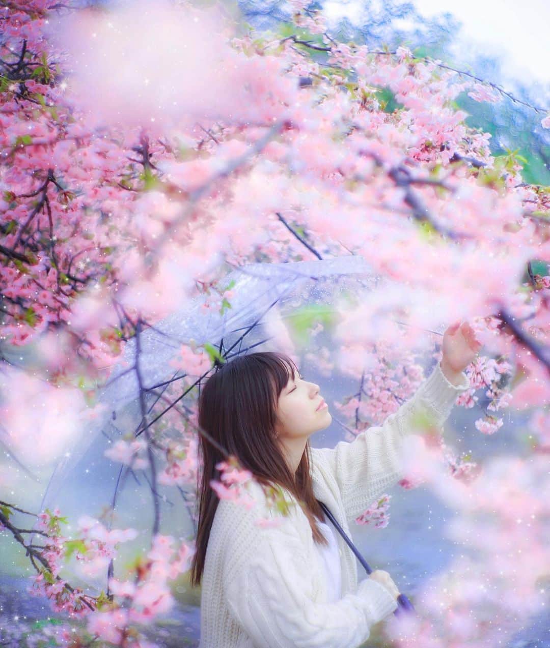 Sherryのインスタグラム：「ㅤㅤㅤㅤㅤㅤㅤㅤㅤㅤㅤㅤㅤ ㅤㅤㅤㅤㅤㅤㅤㅤㅤㅤㅤㅤㅤ 雨桜🌸☂️ ㅤㅤㅤㅤㅤㅤㅤㅤㅤㅤㅤㅤㅤ ㅤㅤㅤㅤㅤㅤㅤㅤㅤㅤㅤㅤㅤ ㅤㅤㅤㅤㅤㅤㅤㅤㅤㅤㅤㅤㅤ」