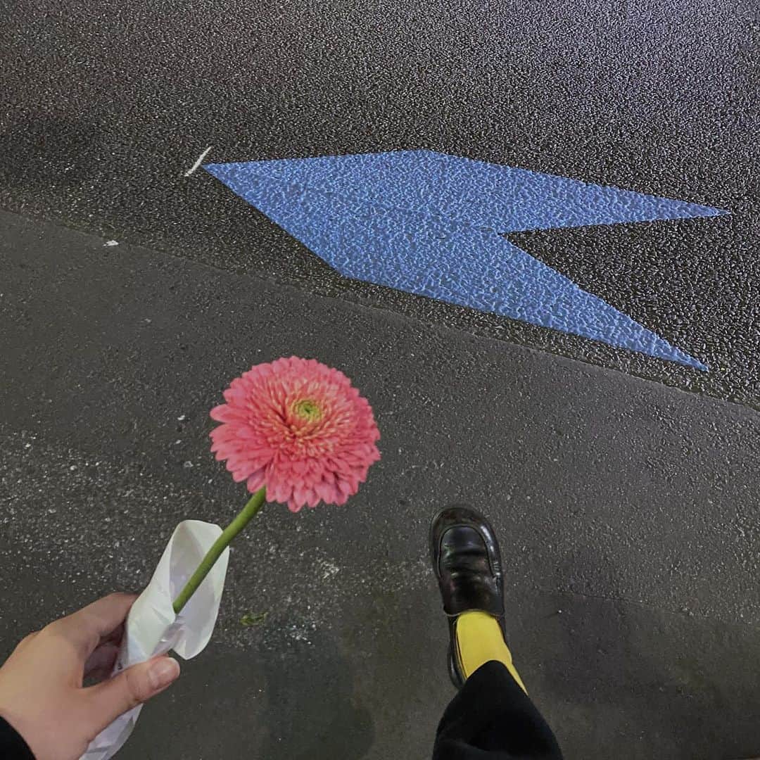 相羽瑠奈のインスタグラム：「🌷 🛫 🧽」