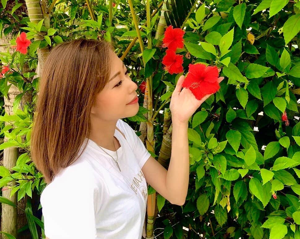 澤井玲未のインスタグラム：「オーディション終了日は21日🌺 これまで沢山のいいねとコメントをありがとうございました😊 最後までご協力お願い致します🙇‍♀️  多くの方がより自然に対して大切にする意識を持って欲しいな🥰  〜サンゴは産卵後、石や岩に卵が着床して育ちます🥚🌈 目には見えないほどの小さなサンゴの赤ちゃんを守る為に、宮古島ではノータッチサンゴマナーをお願いしています〜  【ノータッチサンゴマナーとは？】 ①立たない ②歩かない ③蹴らない ④触れない ⑤餌付け禁止  @sdgs_miyakojima_okinawa  のフォローも是非してね💕  【いいね❤️コメント💭シェア】が審査基準になります、2/21までご協力お願いします🧜🏽‍♀️💜 #ノータッチサンゴマナー #notouchcoral #宮古島 #miyakojima #diving#divinginstructor#scubadiving#ダイビング#スキューバダイビング#ダイビングインストラクター#沖縄#okinawa#珊瑚礁#coral#ダイビング女子#ダイビング好きな人と繋がりたい #旅行#南国#海#夏#padi#沖縄好きな人と繋がりたい#海好きな人と繋がりたい#青の洞窟ダイビング #宮古島ダイビング#ダイビングモデル#小麦肌#underthesea#sdgs」