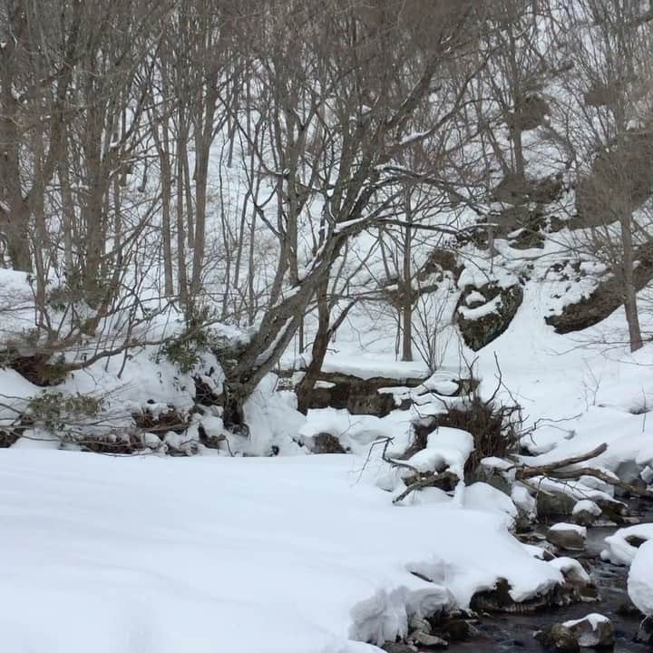 渡辺喜美のインスタグラム：「深山ダム積雪調査」