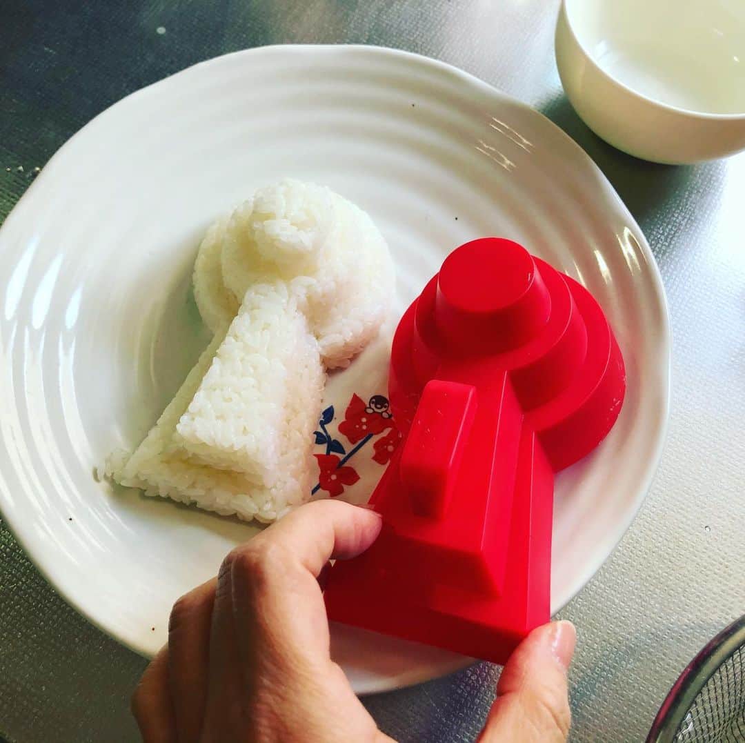 水谷さるころのインスタグラム：「古墳カレーを毎回食べたいけど割と沈む！」