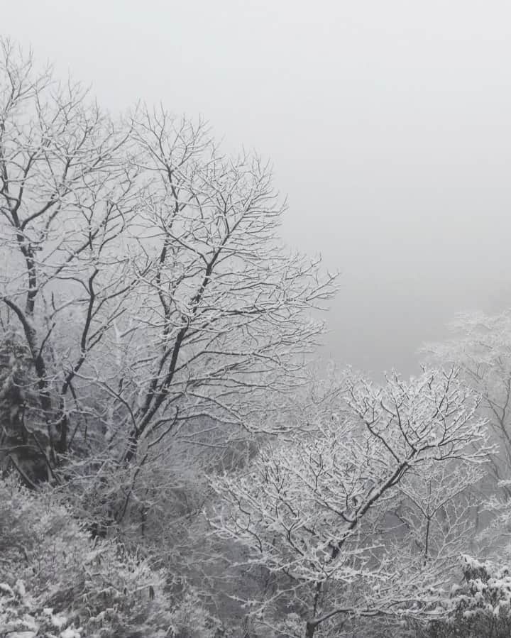 Koichiのインスタグラム：「雪 月 花  そろそろ河津桜が咲く頃だけど、奈良の山並みは白く染まっています。でもこの週末は20度超えとか。 三寒四温で春が近づいていますね。  Snow, Moon and Flowers (雪月花, setsu-getsu-ka) is a Japanese expression and theme in art and design originating from a poem by Tang dynasty poet Bai Juyi. It became popular in the late Edo period. It is a metonym for beautiful sceneries in the nature in Japanese.  #Hellofrom #Japan #Nara #BeautifulJapan  .」