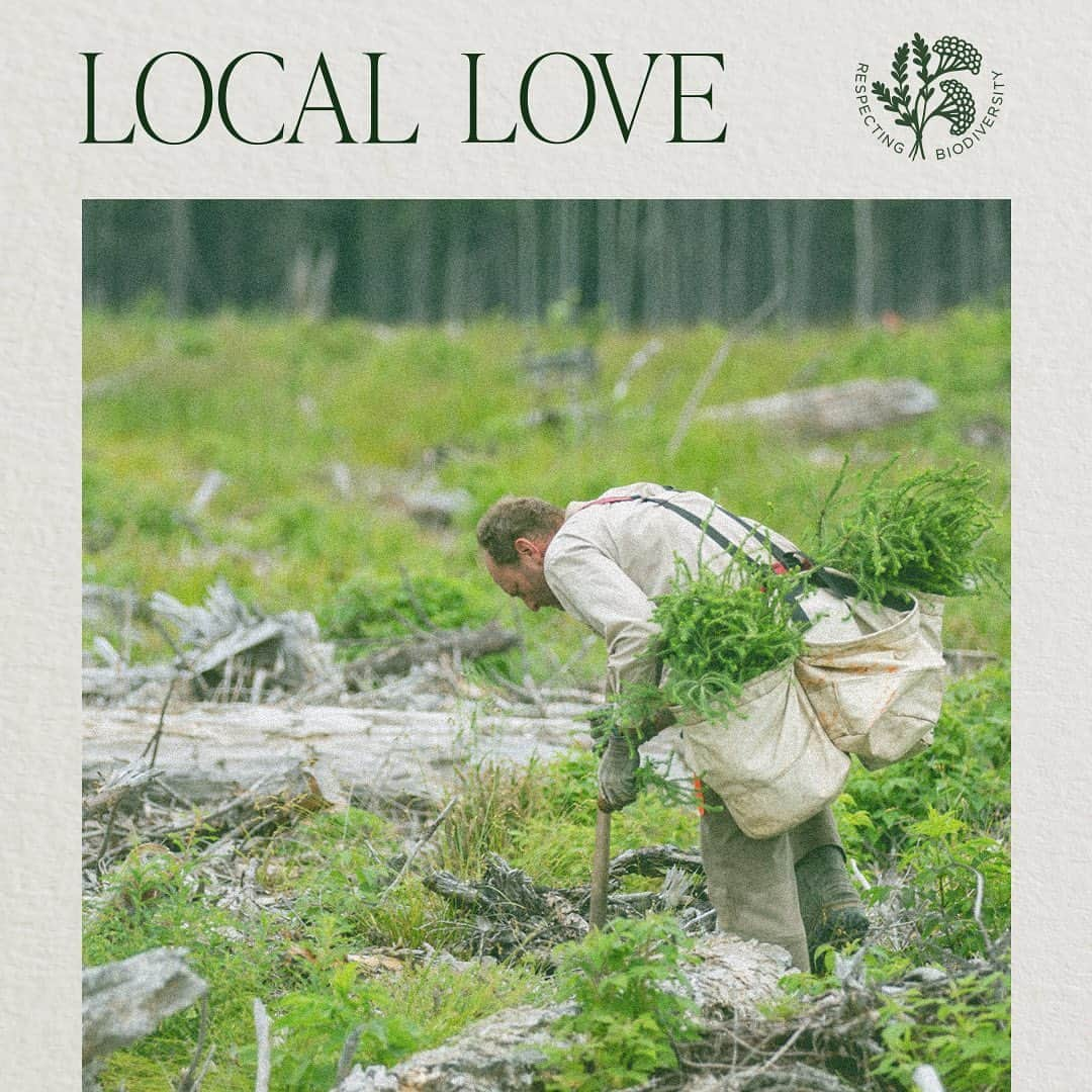 ロクシタンさんのインスタグラム写真 - (ロクシタンInstagram)「Acting locally in the USA 🇺🇸  Over the past holiday season we partnered with One Tree Planted, a non-profit organization dedicated to reforestation efforts around the world, to give something back to the Great American wilderness. 🌳 Why? Because trees help clean the air we breathe, filter the water we drink, and provide a habitat to over 80% of the world's terrestrial biodiversity as well as absorbing harmful carbon from the atmosphere. #Reforestation #Nature #Trees #NotForProfit #ActingLocally #respectingbiodiversity #LOccitane @onetreeplanted」2月18日 20時09分 - loccitane