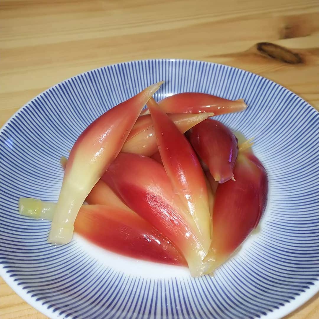 三瓶のインスタグラム：「だいぶご無沙汰の投稿。突然のみょうがの甘酢漬け。インスタライブで作ってみました。完成しました。 ちょいちょい、やっていくと決めました。よろしくお願い致します。」