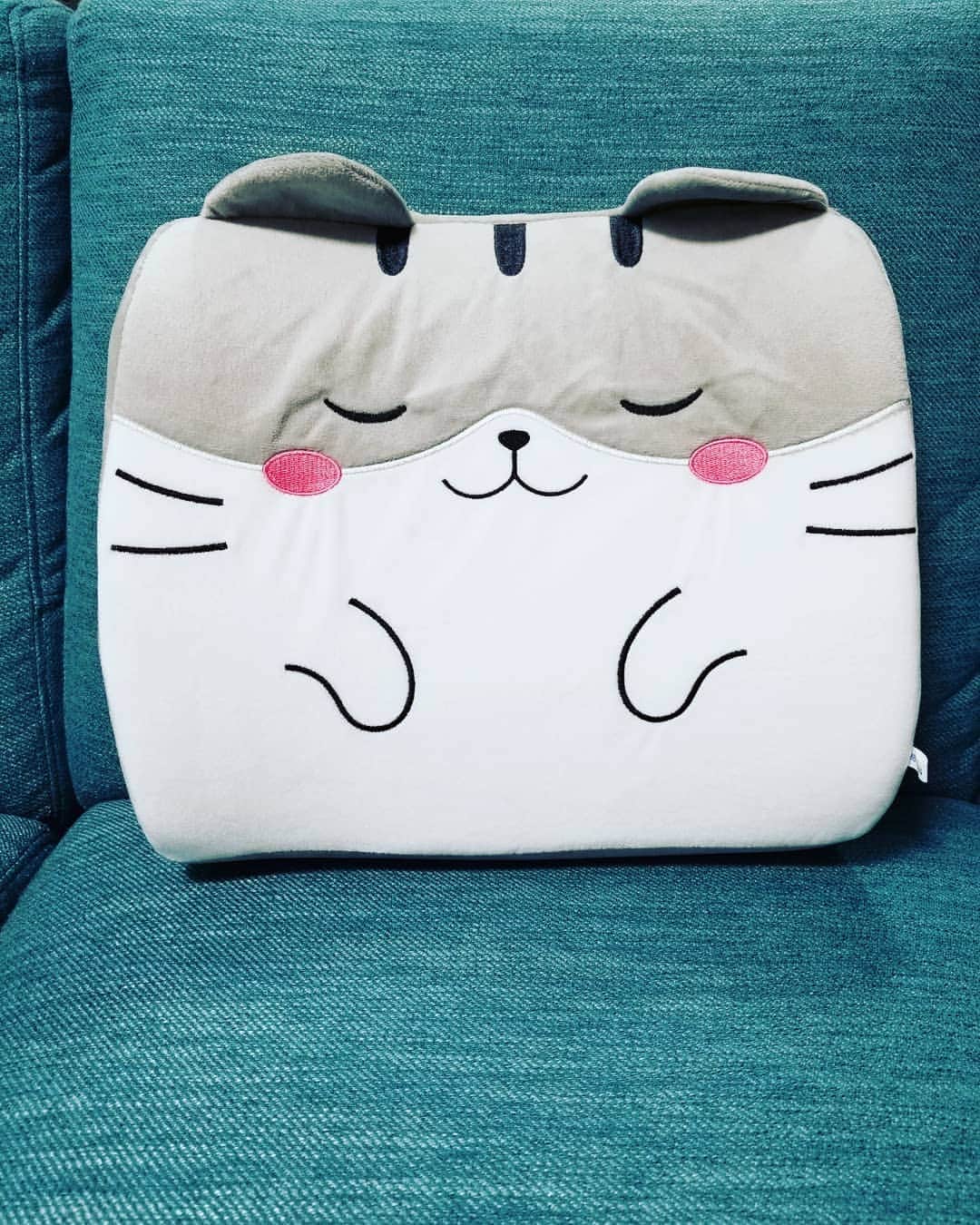 山口綾子のインスタグラム：「オーディオブック作品 #イビツナリ の収録スタジオを紹介します。  小さい部屋か大きい部屋のどちらかでいつも録っています。  最近の寝る前の楽しみはオンラインのクレーンゲームです。お気に入りのターコイズブルーのソファにいるのは最近とれたもので基本的にいつも寝ています。」