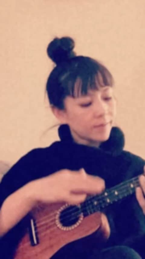 akikoのインスタグラム：「#ukulele #foolsfallinlove #ウクレレ弾きがたり  #ウクレレ女子」