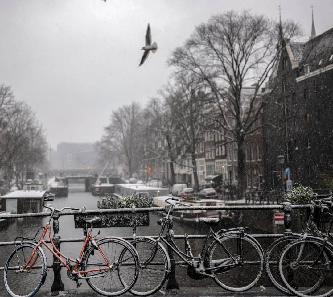 National Geographic Travelさんのインスタグラム写真 - (National Geographic TravelInstagram)「Photo by Muhammed Muheisen @mmuheisen / Bicycles are covered with snow on a canal bridge in Amsterdam, Netherlands, on January 16. For more photos and videos from different parts of the world, follow me @mmuheisen and @mmuheisenpublic. #muhammedmuheisen #Amsterdam #Netherlands #Snow」2月18日 20時39分 - natgeotravel