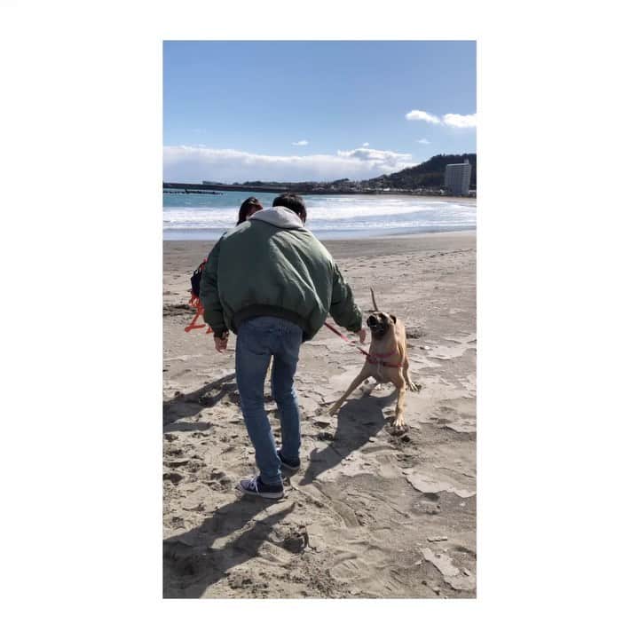 SEN（三辻茜）のインスタグラム：「I was just flirting Frankie, she means nothing to me, I swear 🙏🏼🐕🐶 フランキー嫉妬しないで😢」