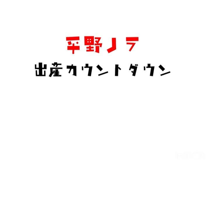 平野ノラのインスタグラム