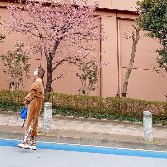 岩堀せりさんのインスタグラム写真 - (岩堀せりInstagram)「これ桜？🌸」2月18日 20時57分 - iwahoriseri