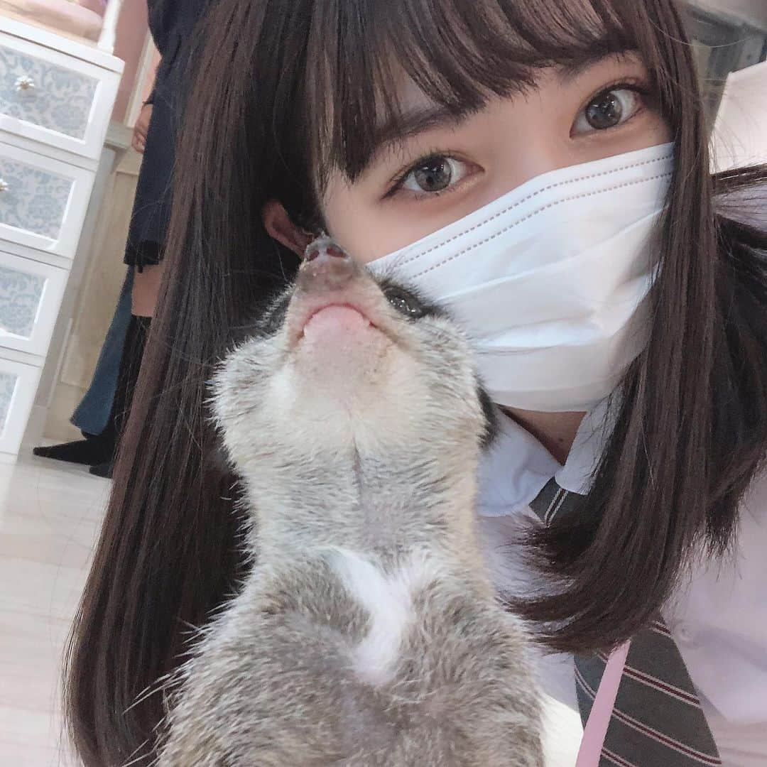 菅井純愛さんのインスタグラム写真 - (菅井純愛Instagram)「この間、小動物カフェに行ってきたよ！ すごくかわいかった💗💗 もう閉店しちゃうから残念…… やっぱりネコちゃんかわいい(♥Ü♥) #癒しの空間  #小動物カフェ  #ふくろう  #ミーアキャット  #動物すき」2月18日 21時01分 - aria_sugai