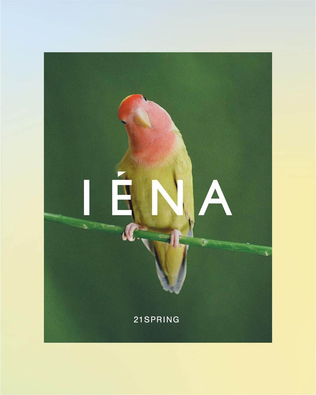 IENAのインスタグラム