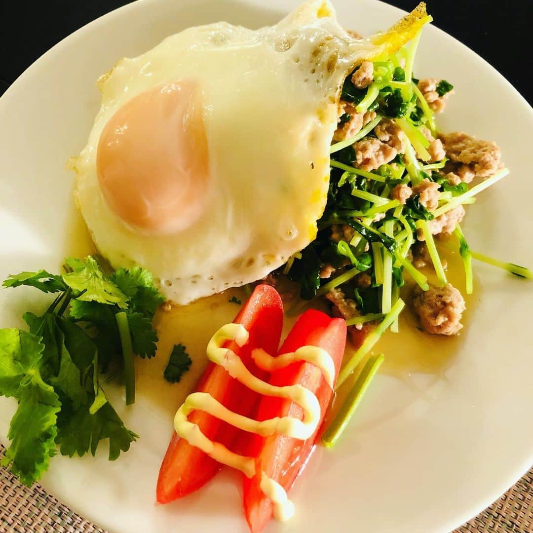 田野辺実鈴さんのインスタグラム写真 - (田野辺実鈴Instagram)「今日の晩ご飯💁‍♀️ 寒さが戻ってきたので メインは煮物にしました😋 ★大根と豚肉の味しみしみ ★豆苗とひき肉のガパオ風 ☝️ナンプラーとオイスターソースで炒めたら美味しかったです❣️ 最近、エスニック風メニューに 興味津々👀  #白米にはもち麦混ぜてます #おうちごはん  #大根の煮物が好き  #ガパオ風  #お料理好き #映えないご飯」2月18日 21時05分 - misuzu_tanobe