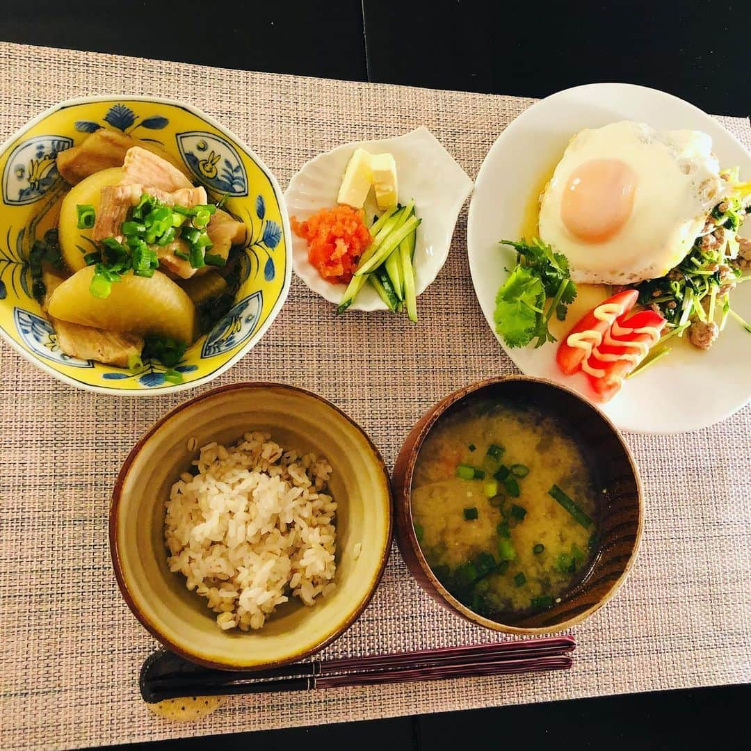 田野辺実鈴のインスタグラム：「今日の晩ご飯💁‍♀️ 寒さが戻ってきたので メインは煮物にしました😋 ★大根と豚肉の味しみしみ ★豆苗とひき肉のガパオ風 ☝️ナンプラーとオイスターソースで炒めたら美味しかったです❣️ 最近、エスニック風メニューに 興味津々👀  #白米にはもち麦混ぜてます #おうちごはん  #大根の煮物が好き  #ガパオ風  #お料理好き #映えないご飯」