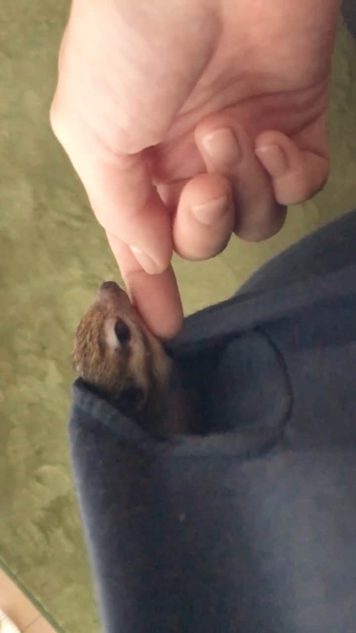ビッケ & トッドのインスタグラム