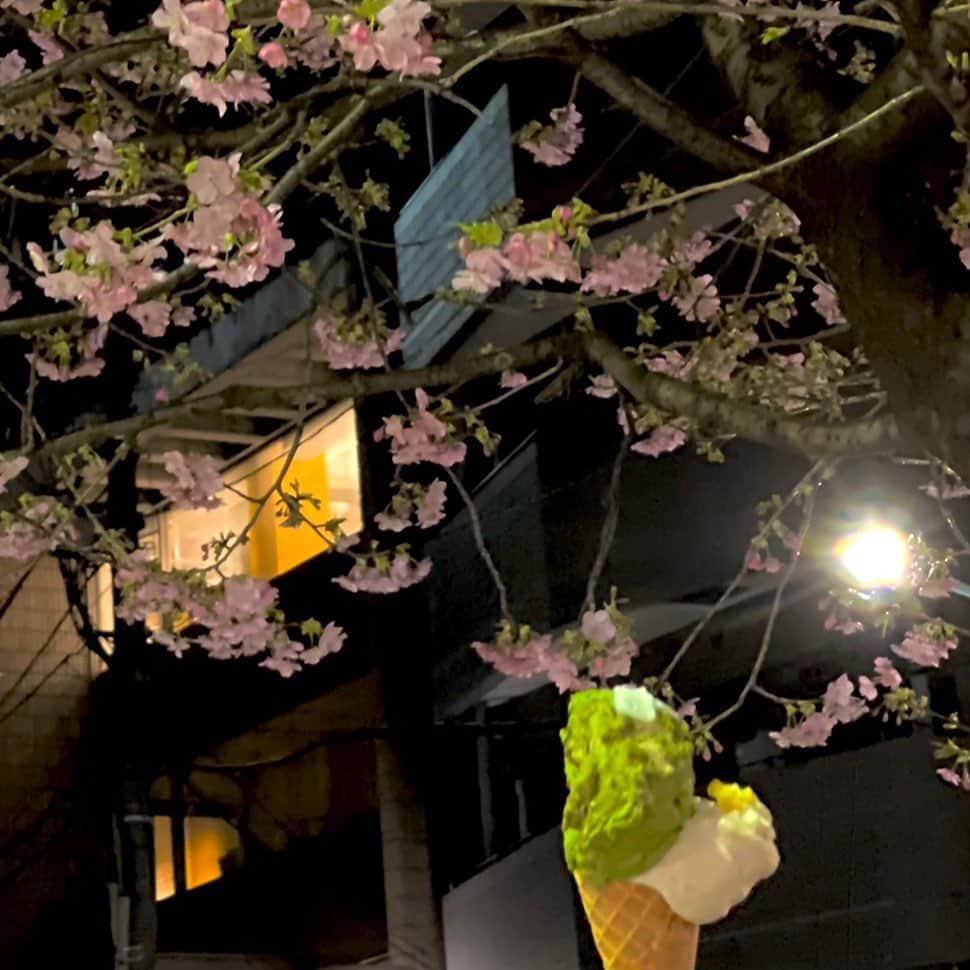 さんのインスタグラム写真 - (Instagram)「. . ☆ Marghera News ☆ . 皆様、こんばんは😁 今日はお店の近くの桜が綺麗に咲いていたので、 桜をバックにおすすめの和フレーバーの紹介です🌸 . #和栗 #抹茶　(黒蜜・求肥トッピング) ダブルサイズのコーン🍦 . ぜひお試しくださいね😋😋😋 . 2月末から3月にかけてNewフレーバーが登場します👏 お店に並んだら紹介しますのでご期待ください🙇‍♀️ . #gelateriamarghera_japan #gelato  #icecream #ジェラテリアマルゲラ #ジェラート　#専門店　#スイーツ #港区　#麻布十番 #カフェ　#エスプレッソ #イートイン　#テイクアウト　#デリバリー #FOODNEKO  #ubereats  #wolt  #出前館」2月18日 21時26分 - gelateriamarghera_japan
